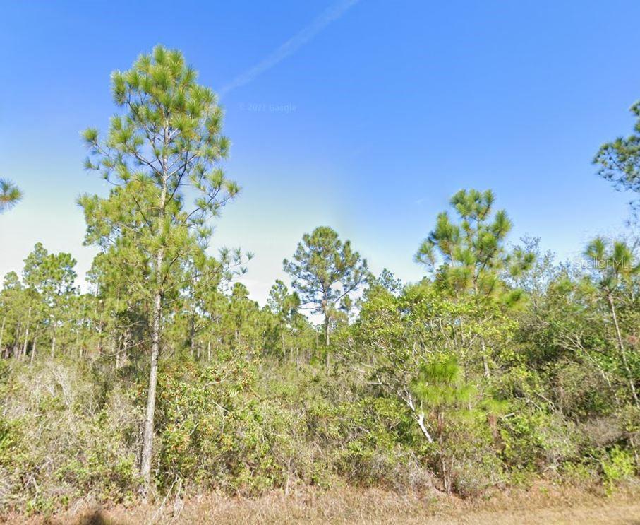 CALENDULA DRIVE, Indian Lake Estates, FL 33855