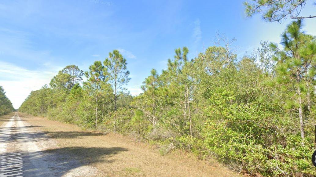 CALENDULA DRIVE, Indian Lake Estates, FL 33855