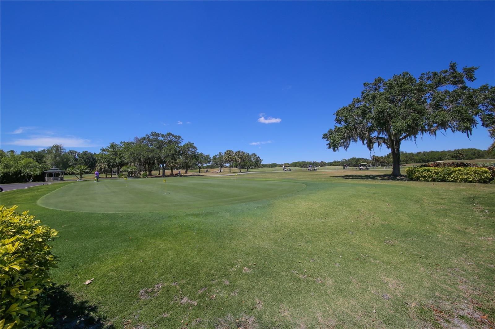 3211 WOODLAND FERN DRIVE, Parrish, FL 34219