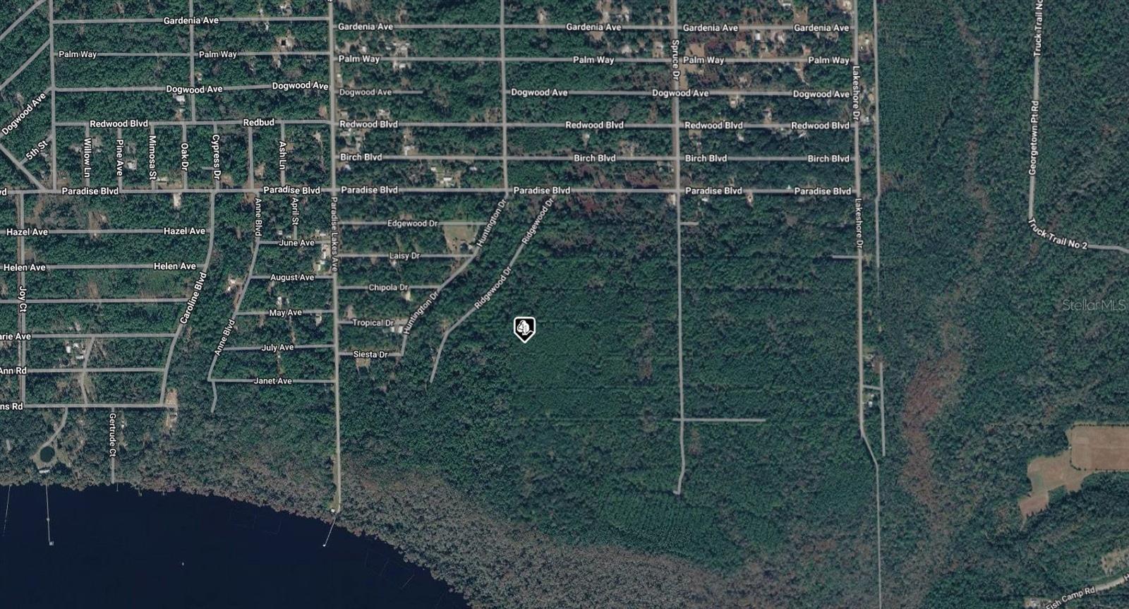 302 SIESTA DRIVE, Georgetown, FL 32139
