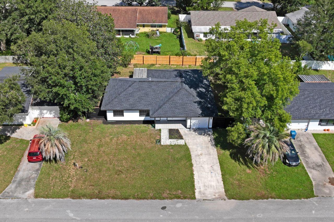 Bird View