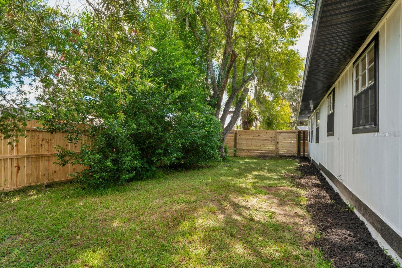 Fenced Yard