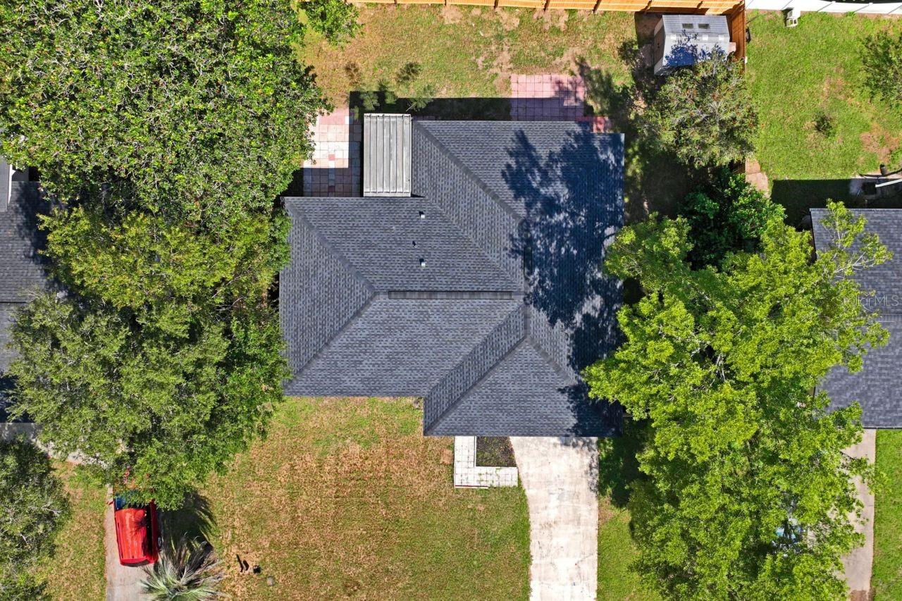 Bird View