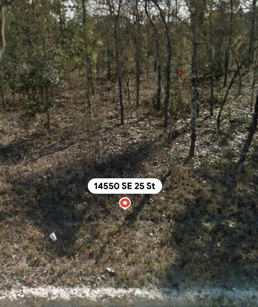 14550 SE 25TH STREET, Morriston, FL 32668