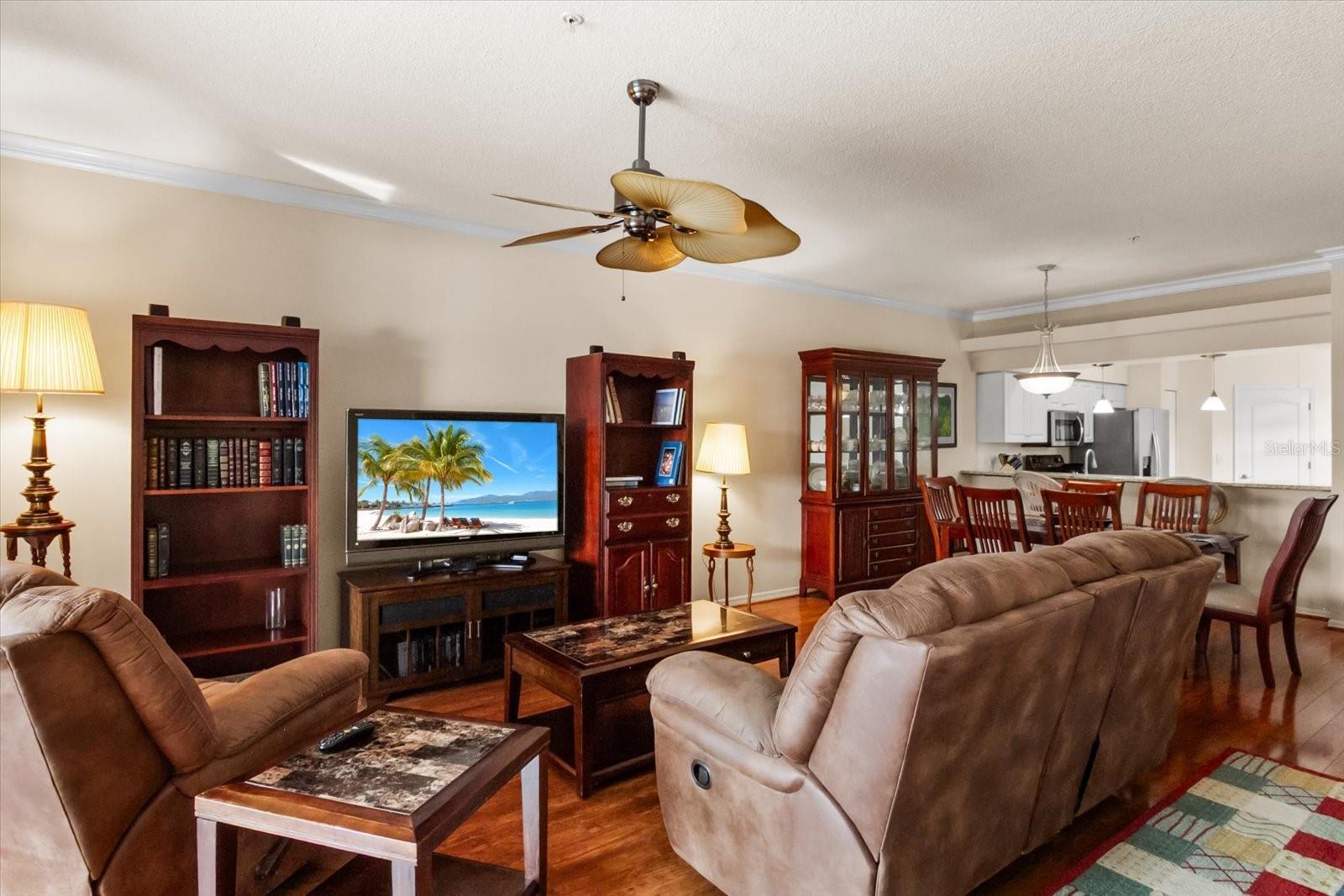 Living room and dining room combo