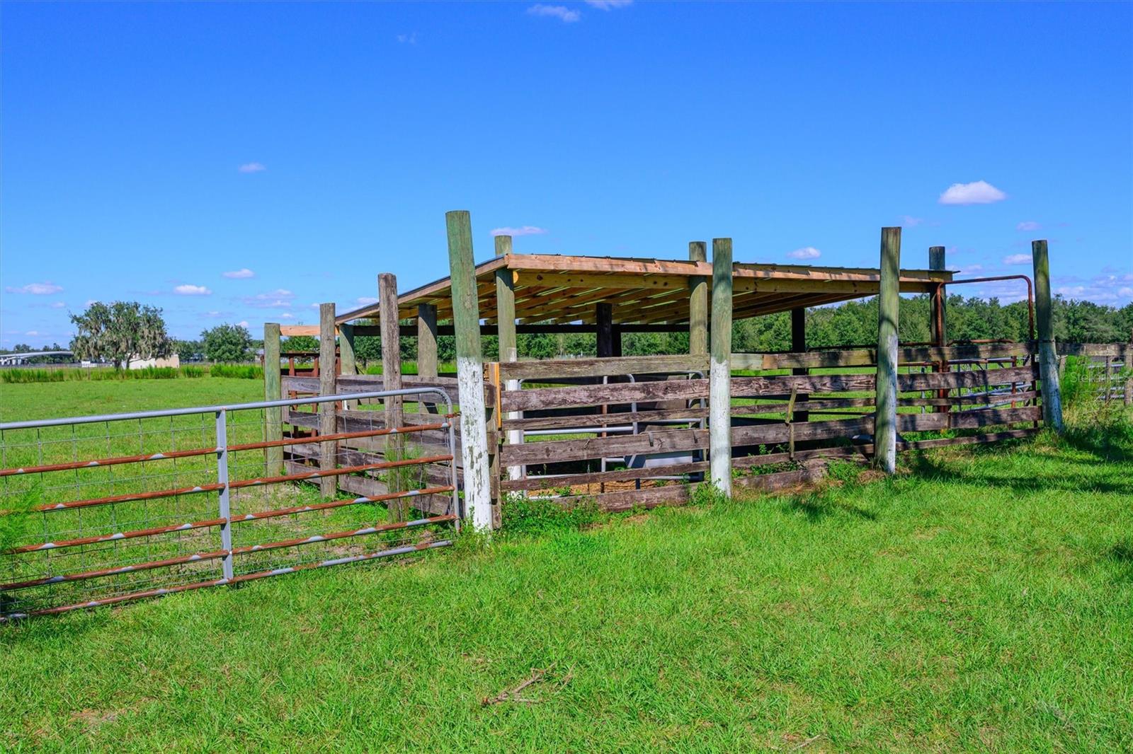 10650 BRENDLE ROAD, Myakka City, FL 34251