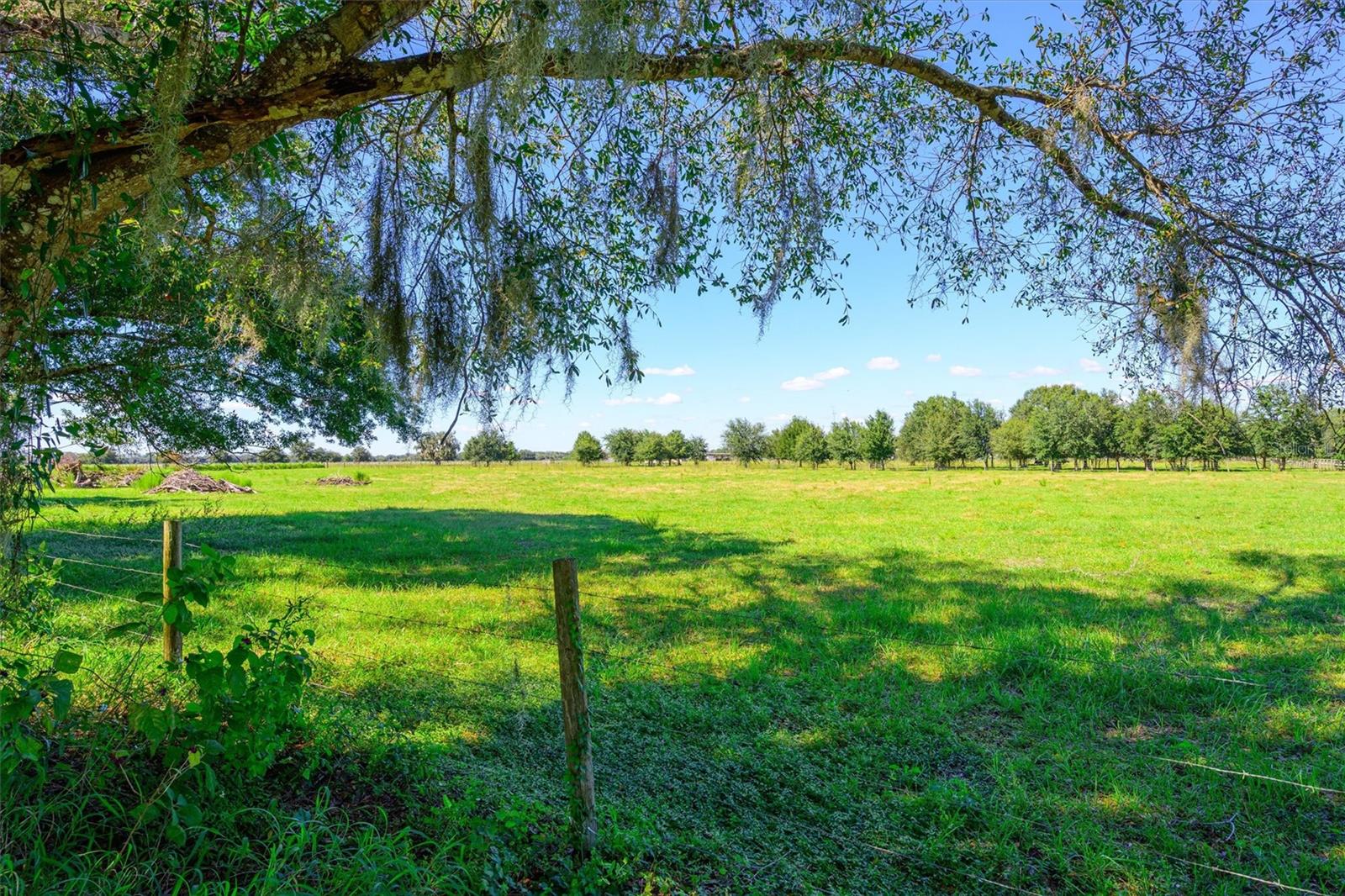 10650 BRENDLE ROAD, Myakka City, FL 34251
