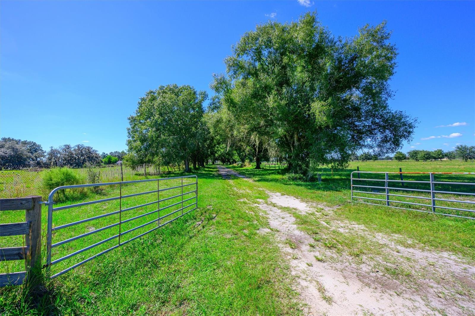 10650 BRENDLE ROAD, Myakka City, FL 34251