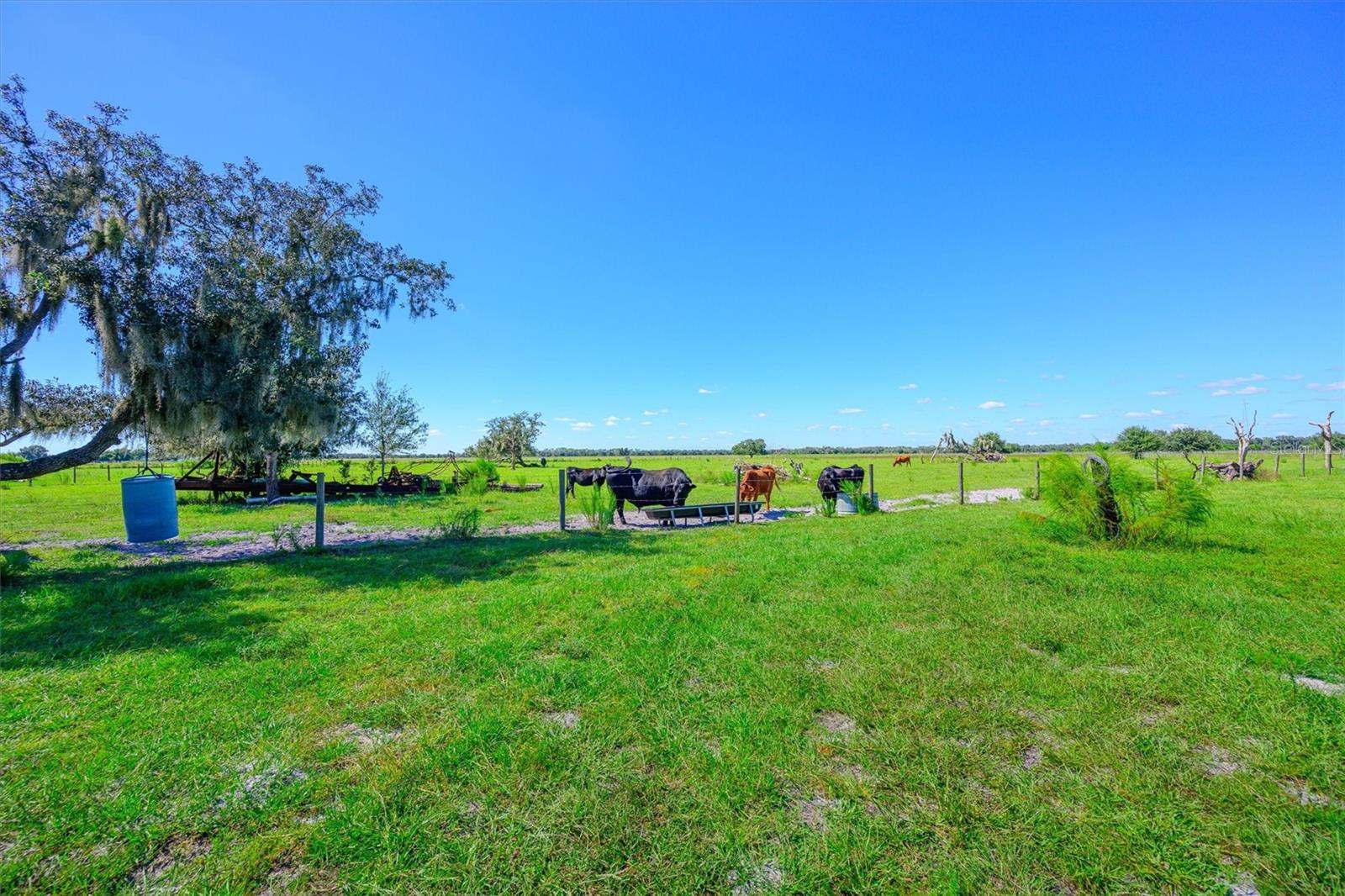 10650 BRENDLE ROAD, Myakka City, FL 34251