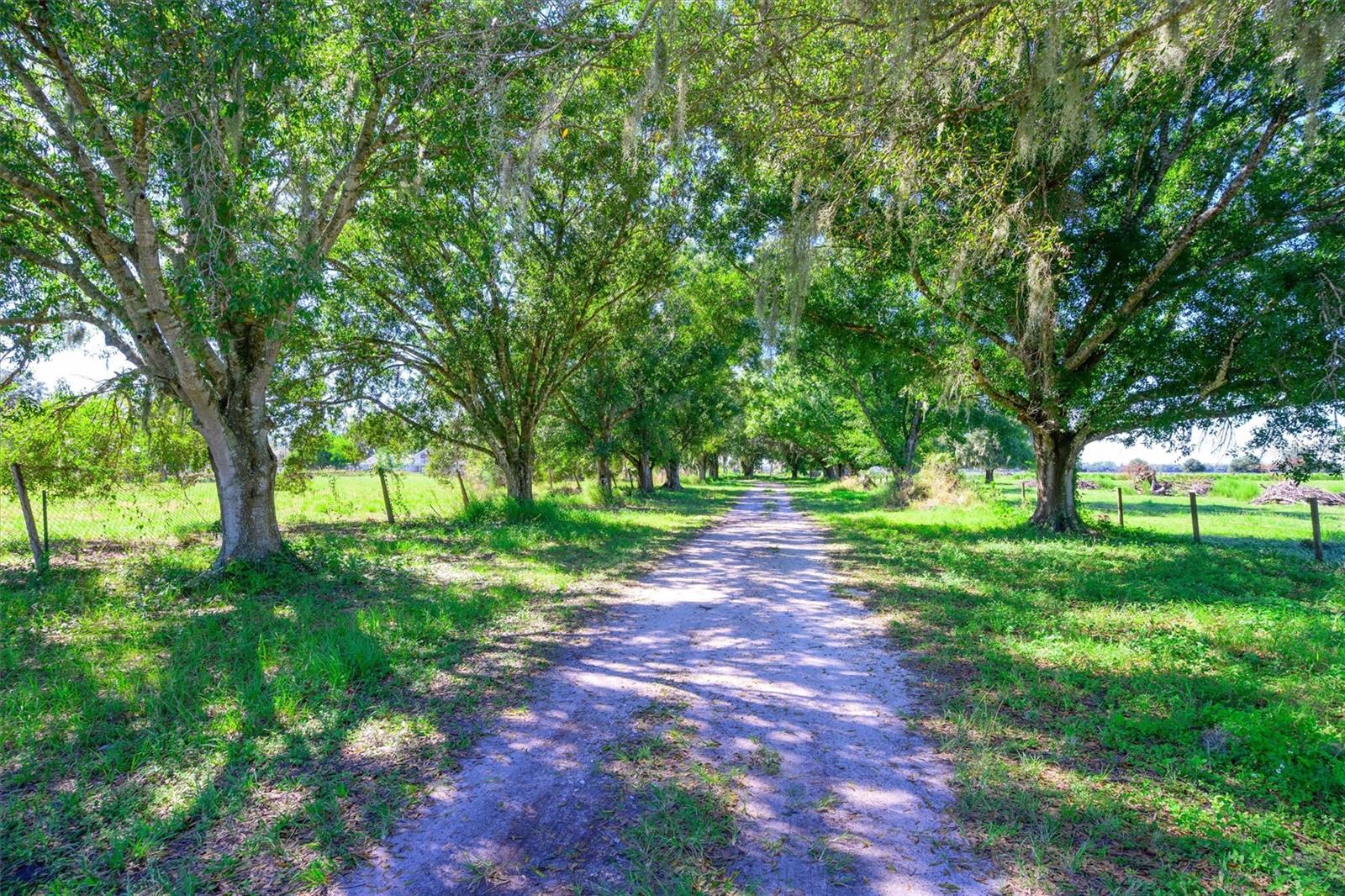 10650 BRENDLE ROAD, Myakka City, FL 34251