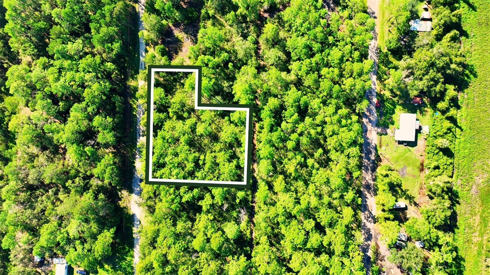 TBD NE 66TH AVENUE, Citra, FL 32113