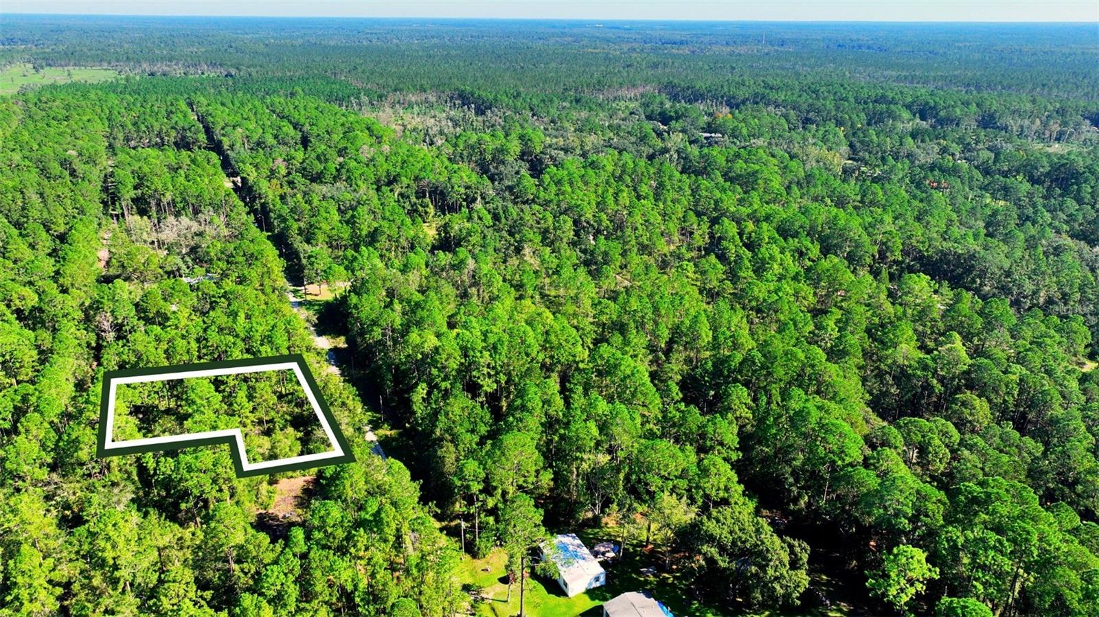 TBD NE 66TH AVENUE, Citra, FL 32113