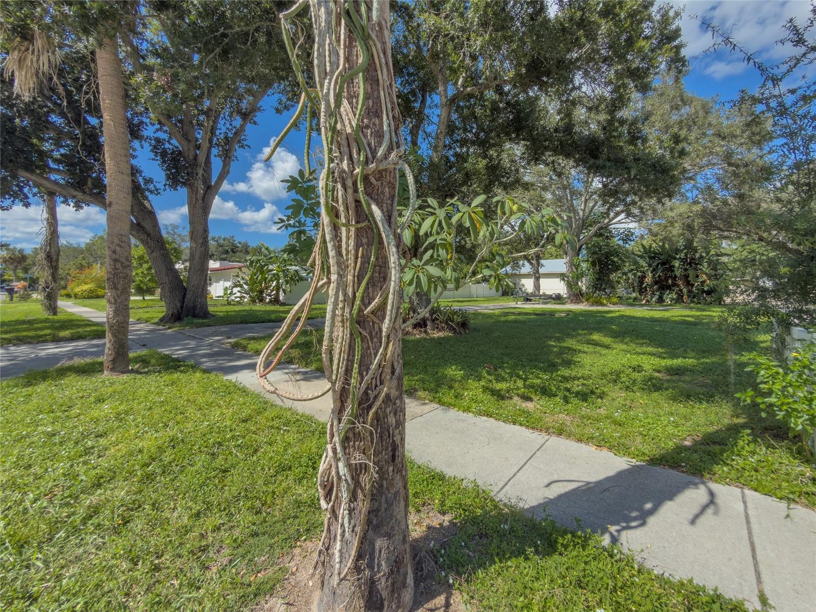 1706 4TH STREET W, Palmetto, FL 34221