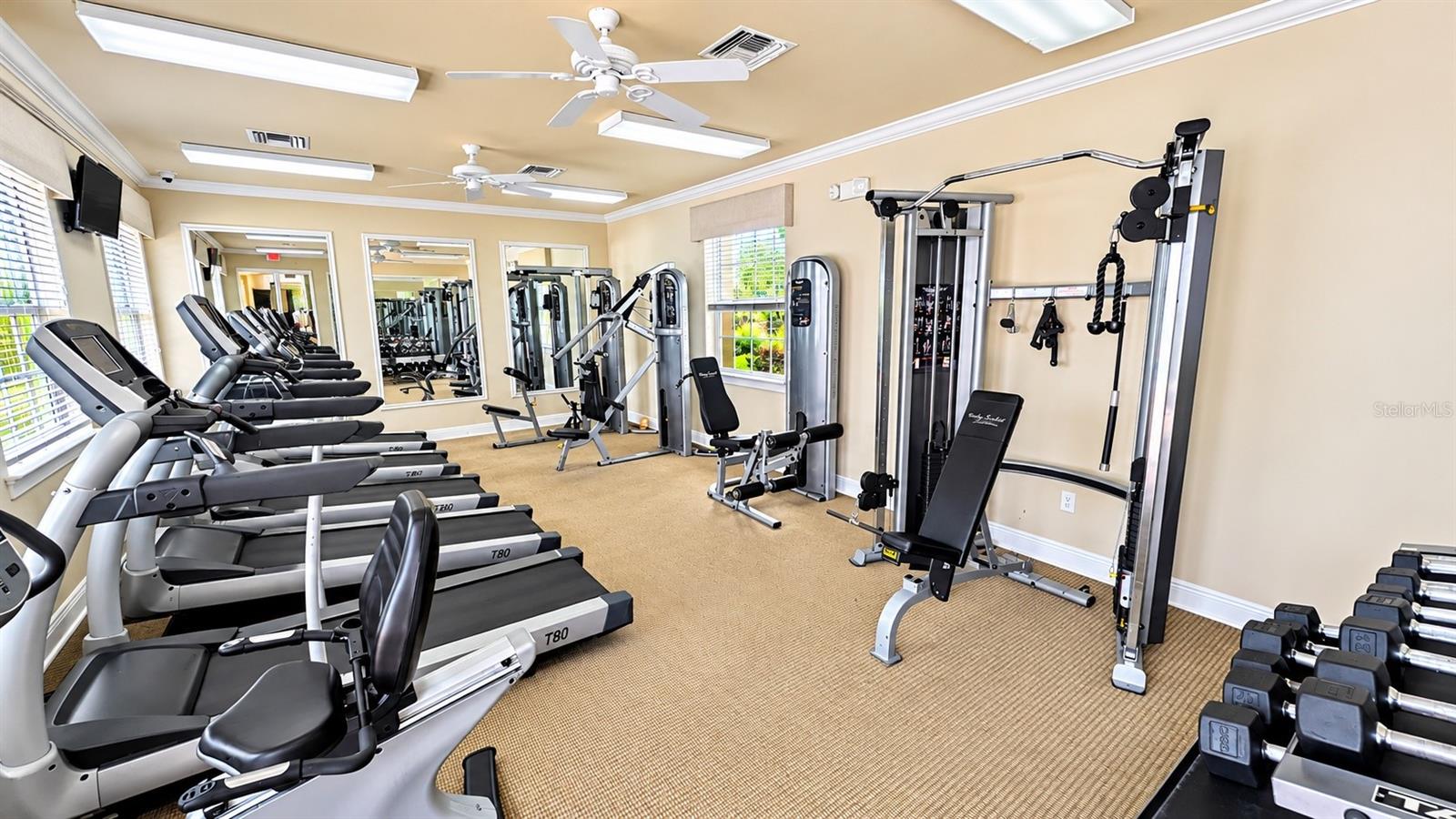 11455 BLACKFIN STREET, Venice, FL 34292