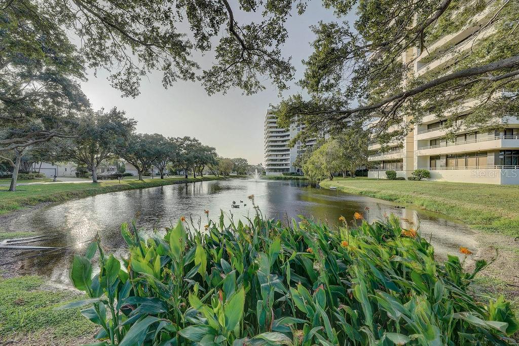 5940 PELICAN BAY PLAZA S, #203, Gulfport, FL 33707