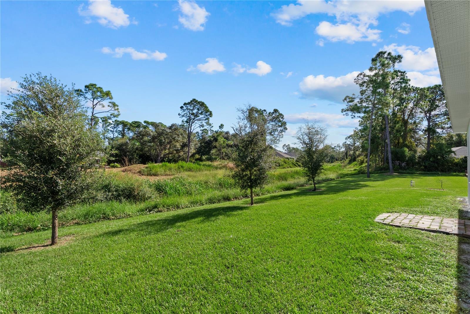 Backyard View