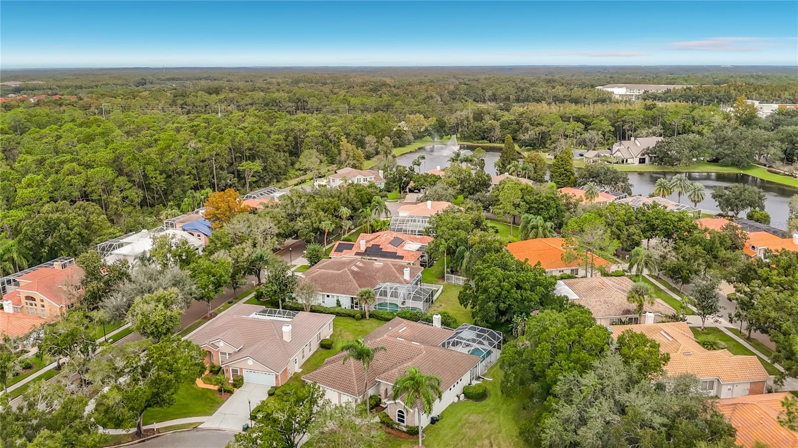 8704 BROADGREEN COURT, Tampa, FL 33647