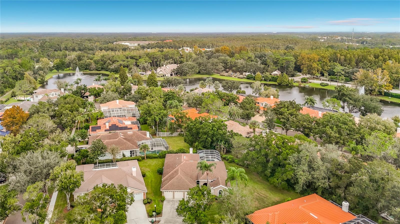 8704 BROADGREEN COURT, Tampa, FL 33647