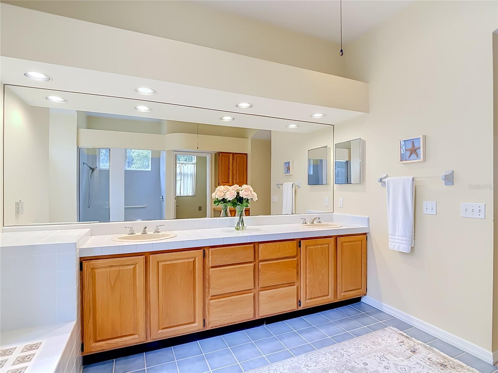 8704 BROADGREEN COURT, Tampa, FL 33647