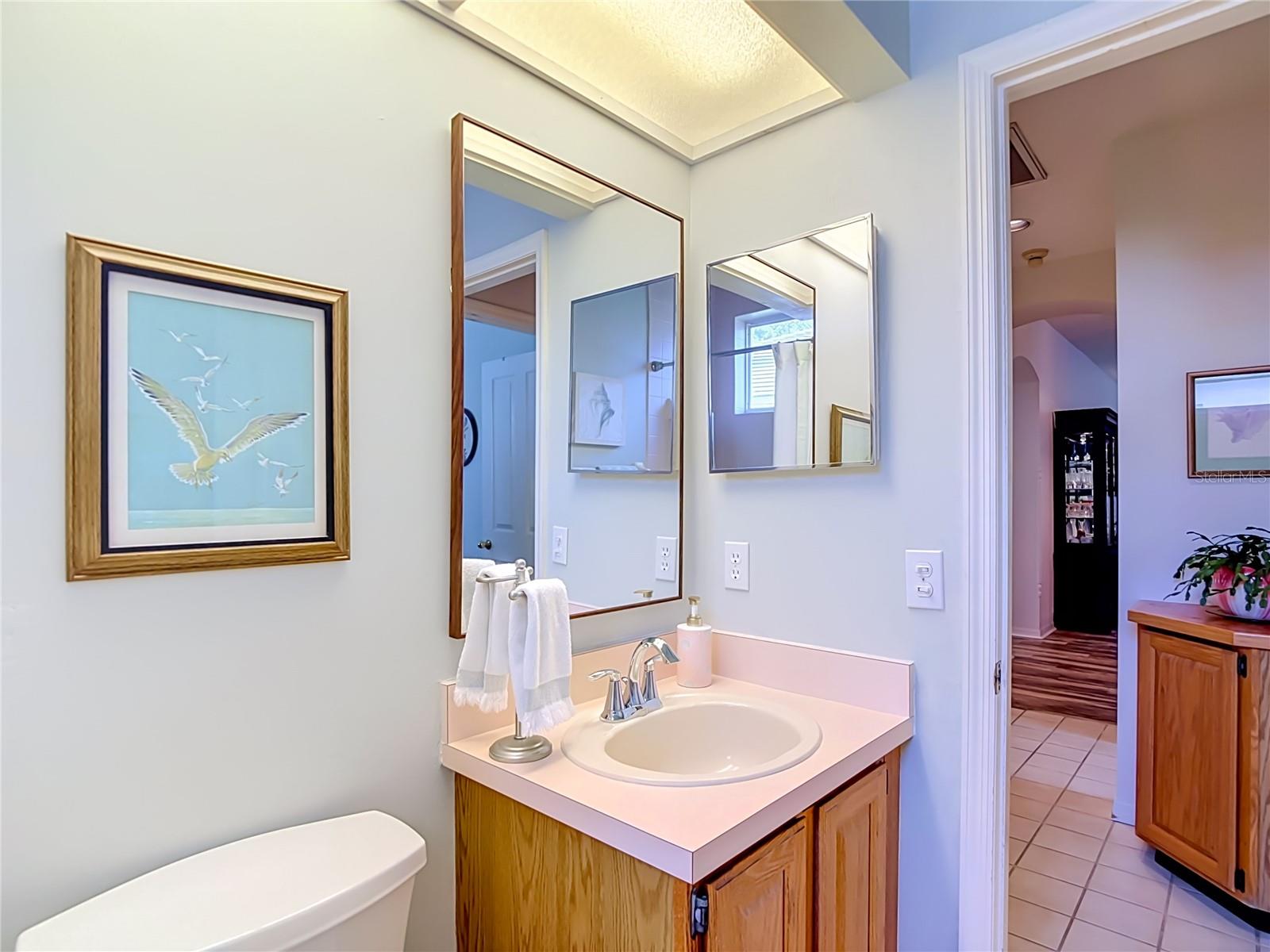 8704 BROADGREEN COURT, Tampa, FL 33647