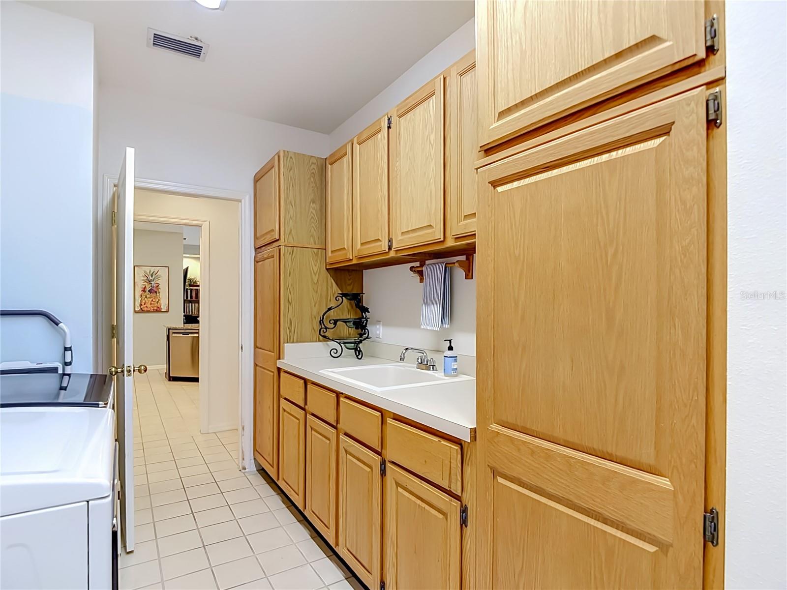 8704 BROADGREEN COURT, Tampa, FL 33647