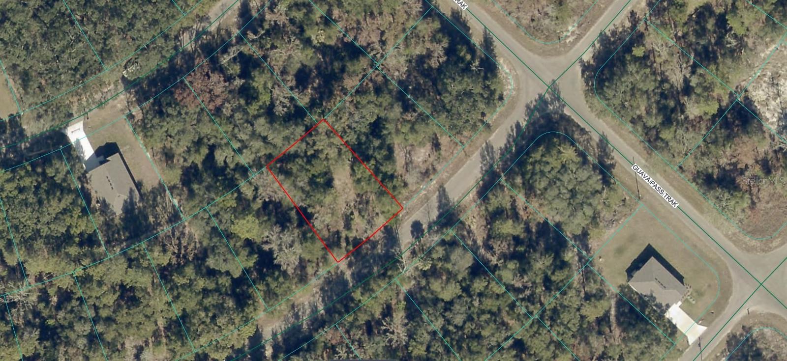 9038-1252-28 GUAVA TRAIL, Ocklawaha, FL 32179