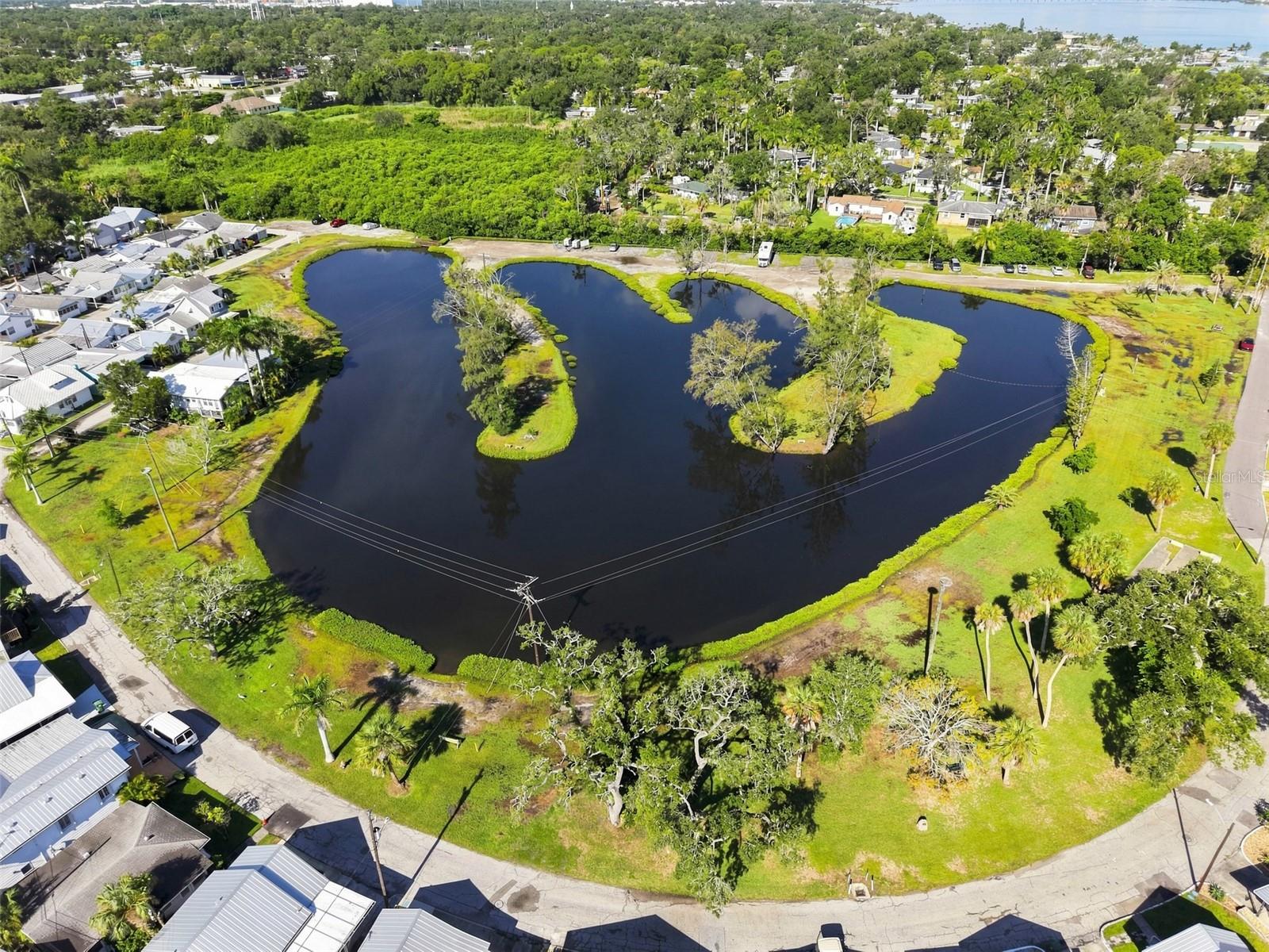 Lagoon area in Braden Castle.