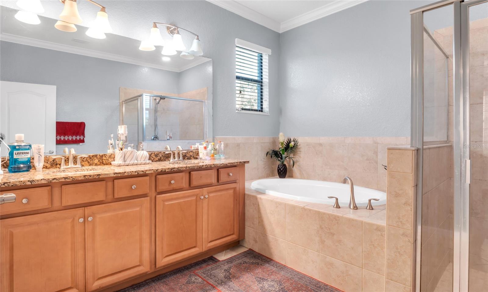 3504 SAVANNA PALMS COURT, Bradenton, FL 34211