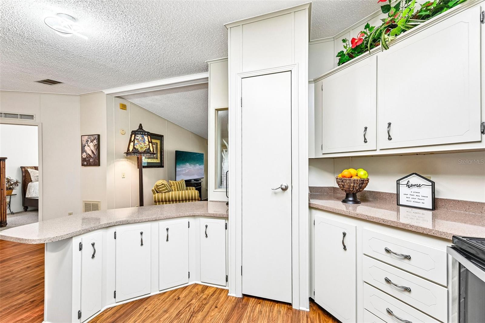 Pantry Closet and Breakfast Counter