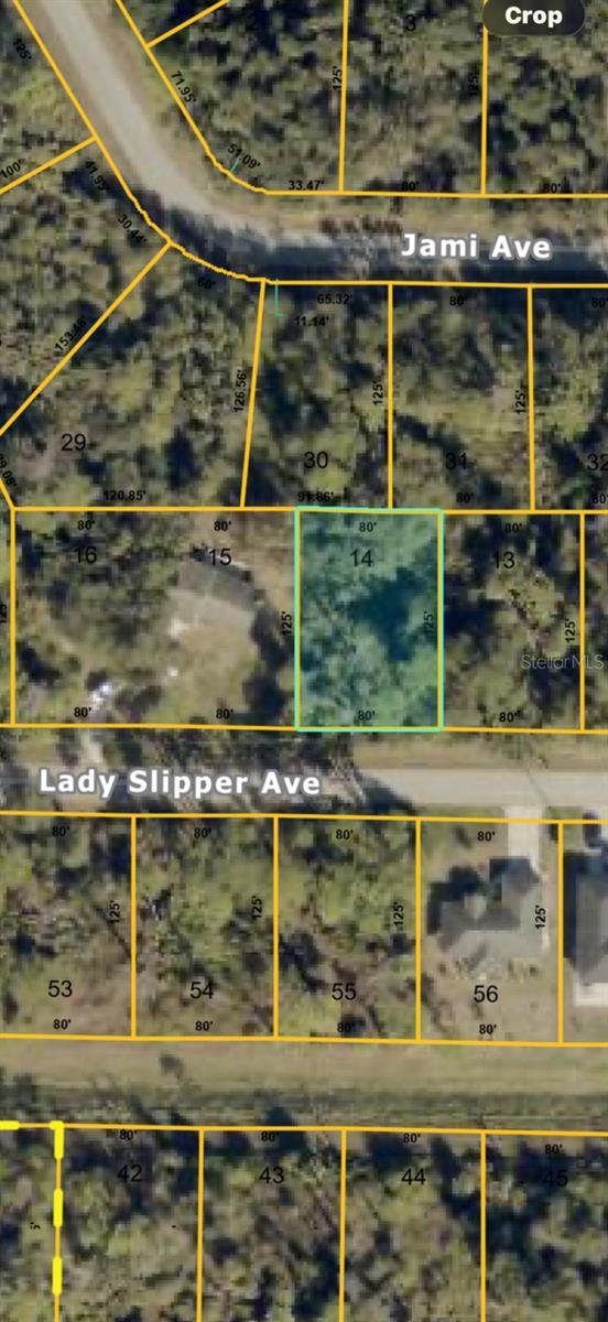 LADY SLIPPER AVENUE, North Port, FL 34291