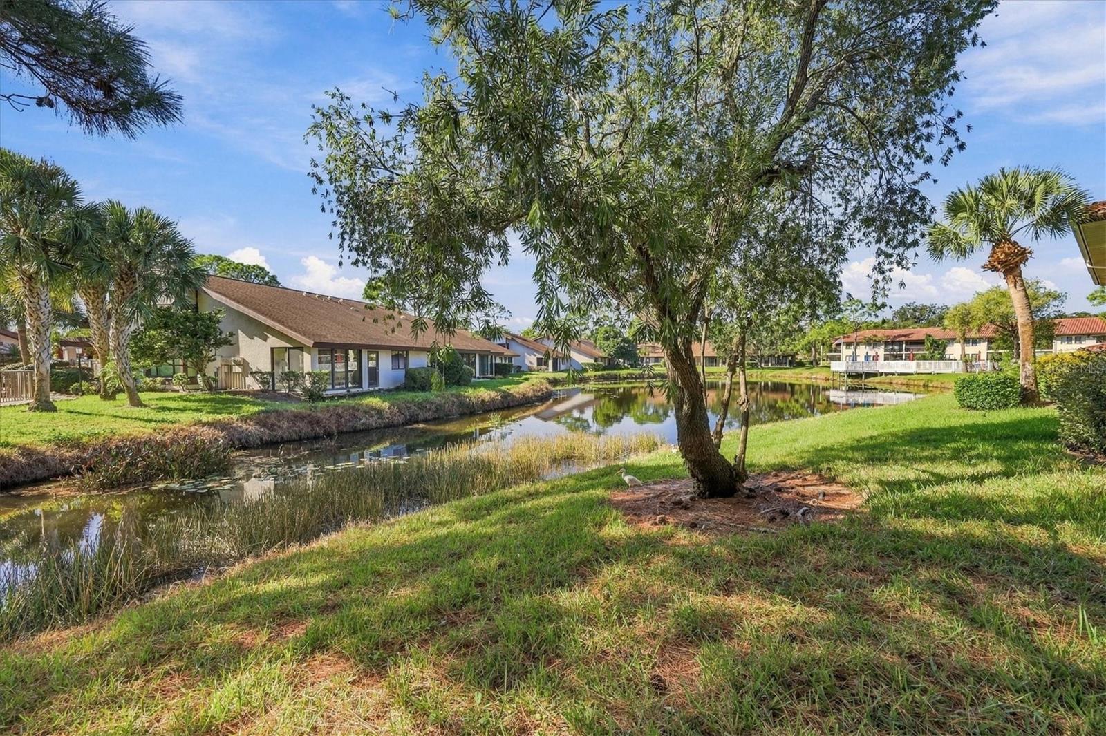 5246 LAKE VILLAGE DRIVE, #58, Sarasota, FL 34235