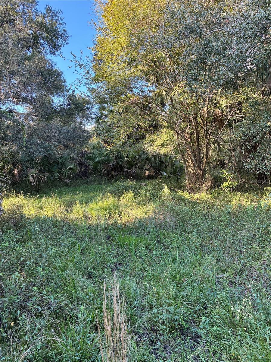 16418, Myakka City, FL 34251