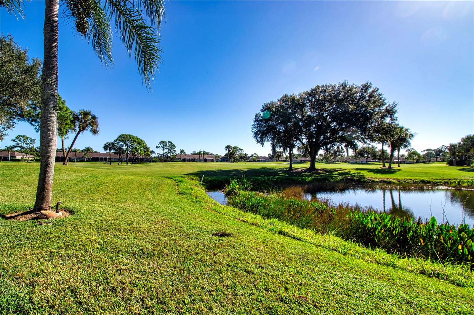 4901 CHASE OAKS DRIVE, Sarasota, FL 34241
