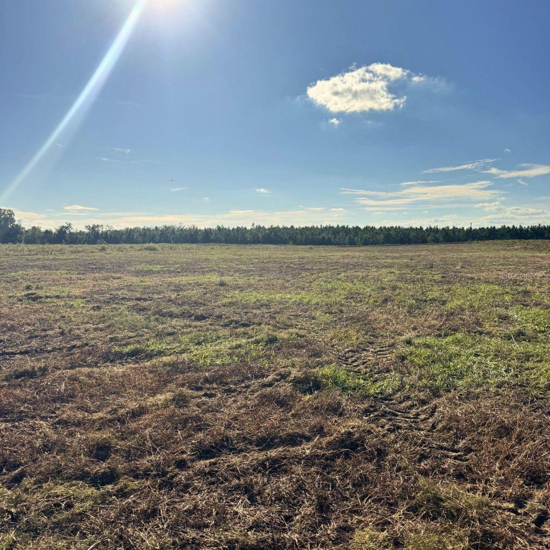 4274 SOUTHWEST 99TH AVENUE, Jasper, FL 32052
