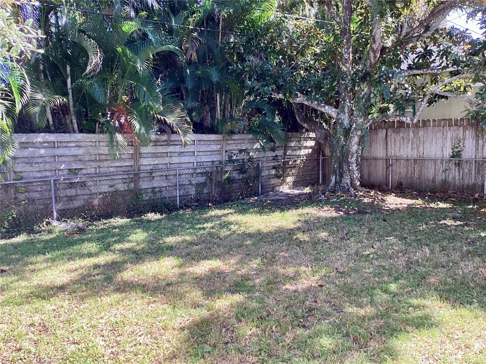 Back Yard