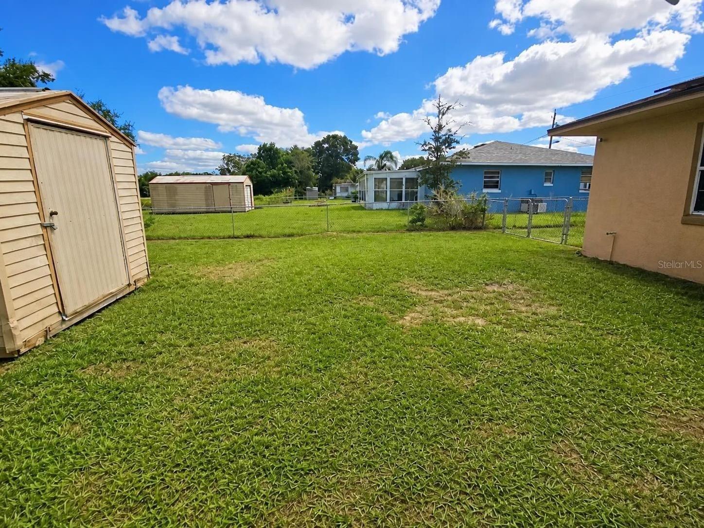 Backyard