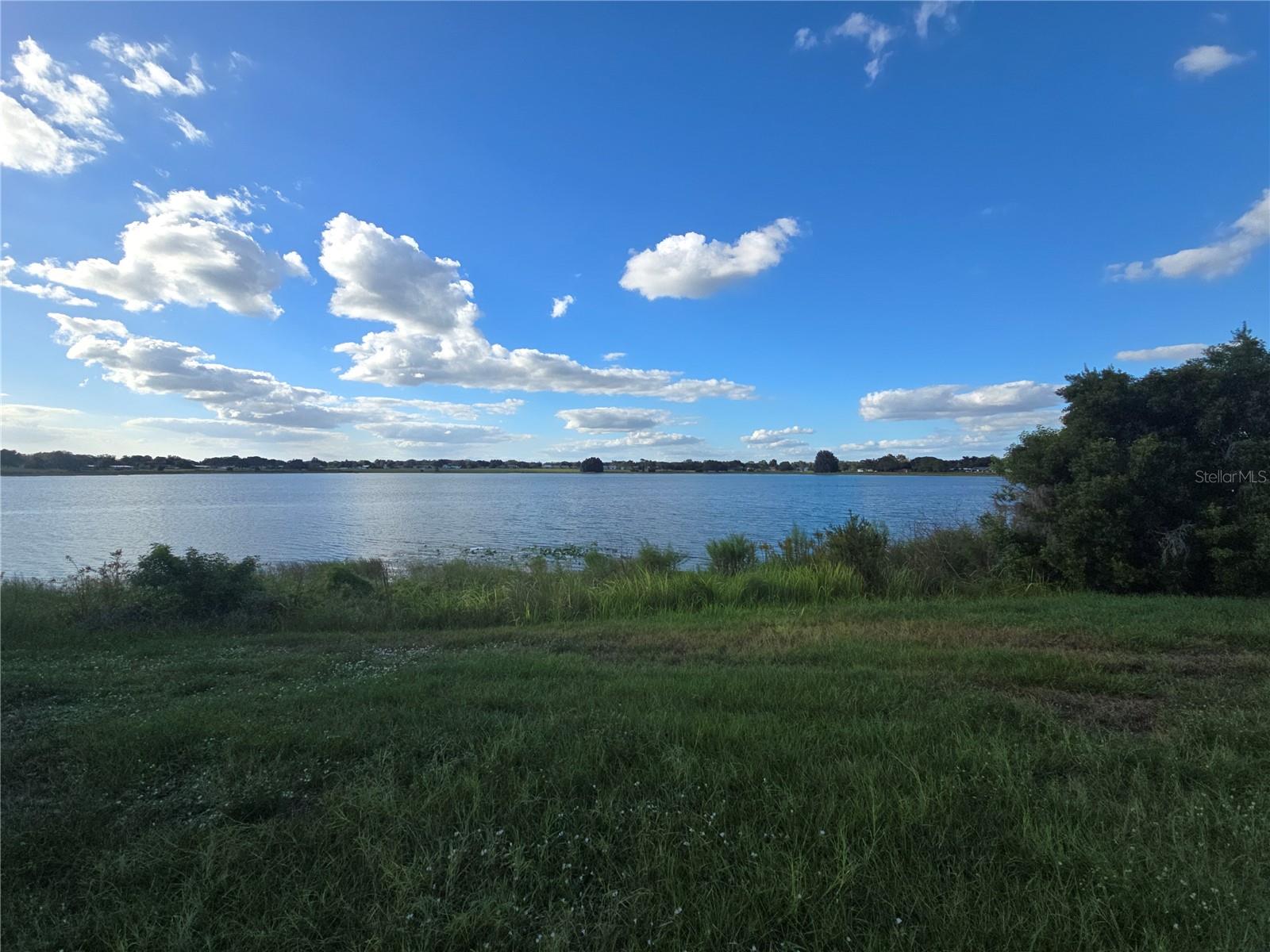 Lake Olivia