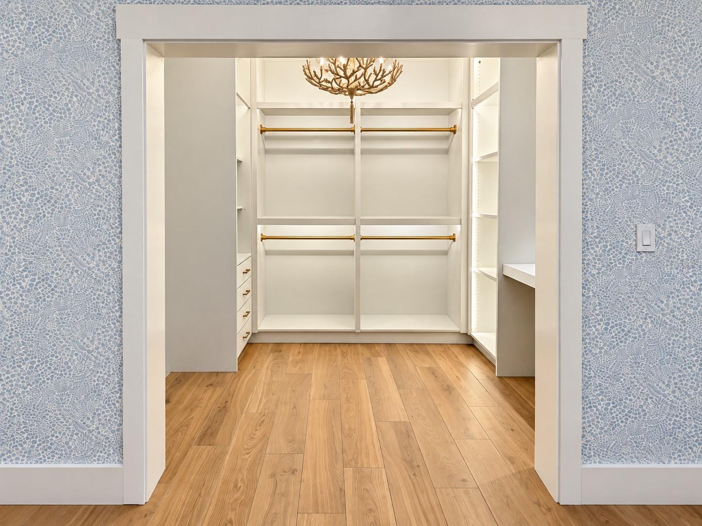 Primary Closet
