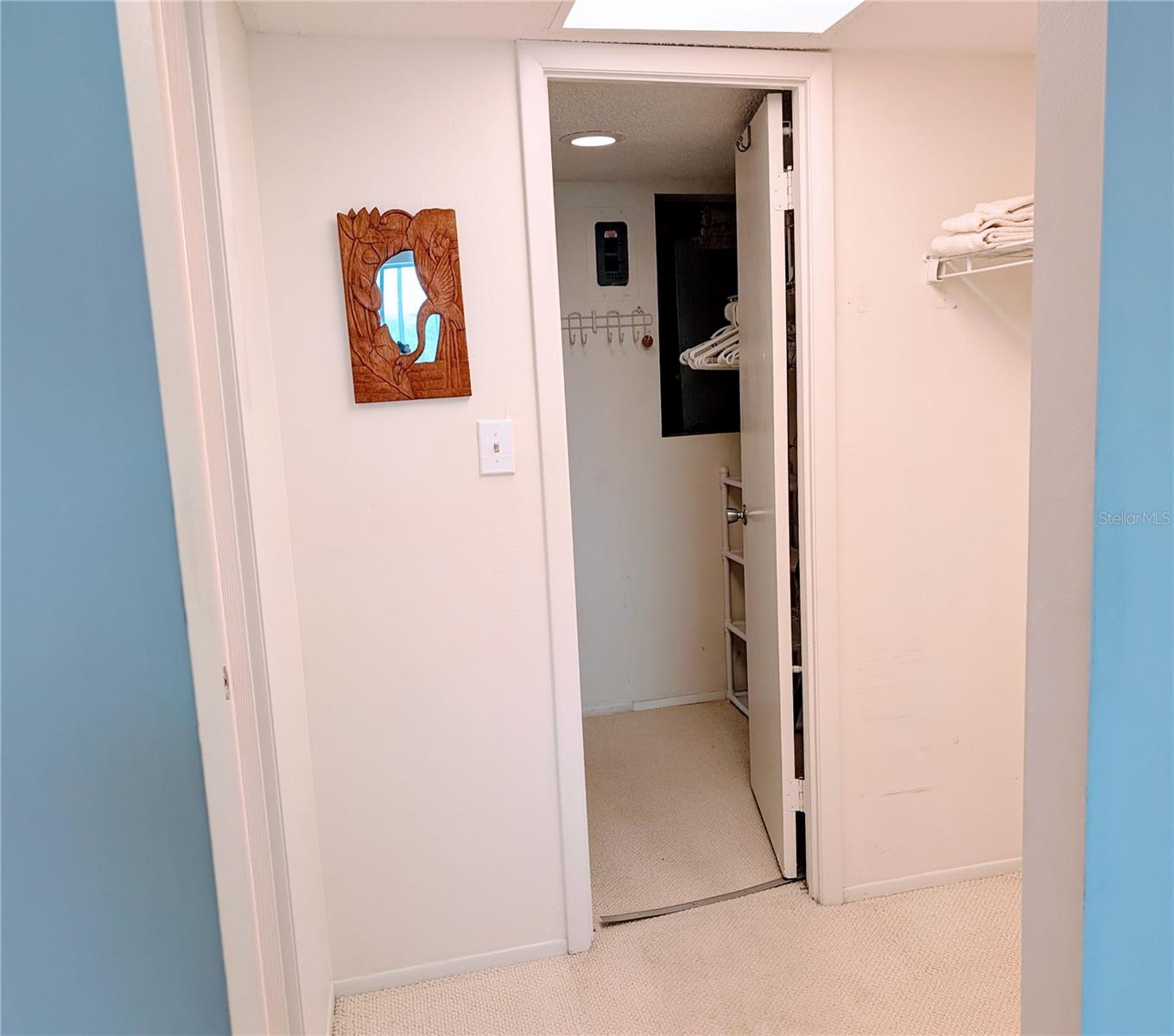 Walk-in closet(s)