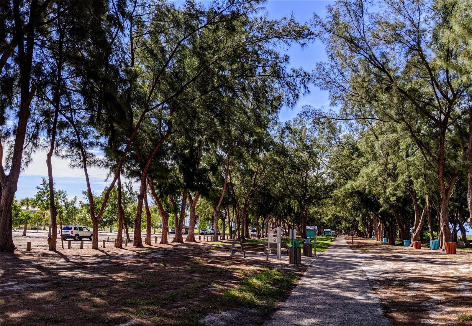 Coquina Beach pathways
