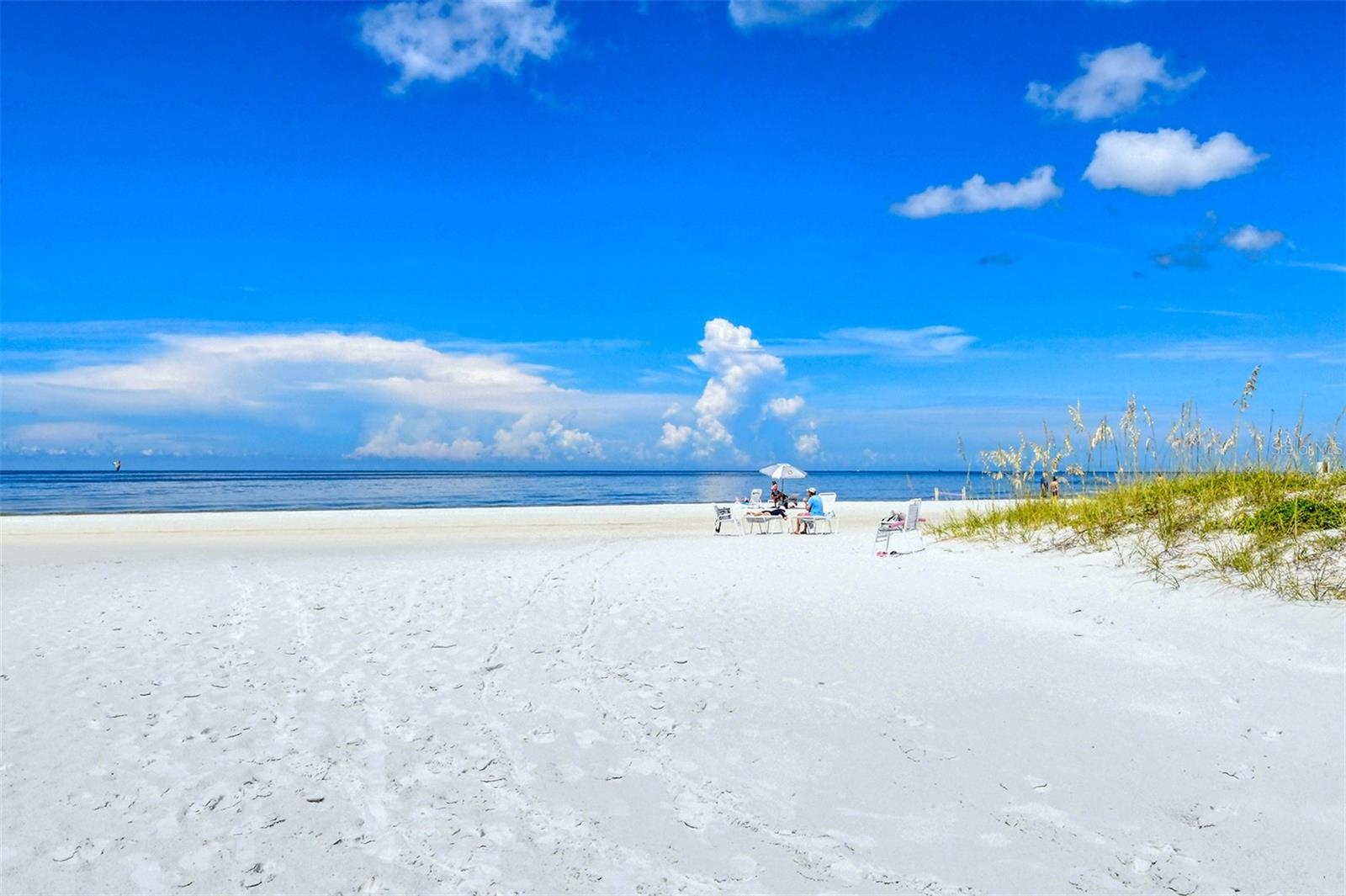 6287 MIDNIGHT PASS ROAD, #103, Sarasota, FL 34242