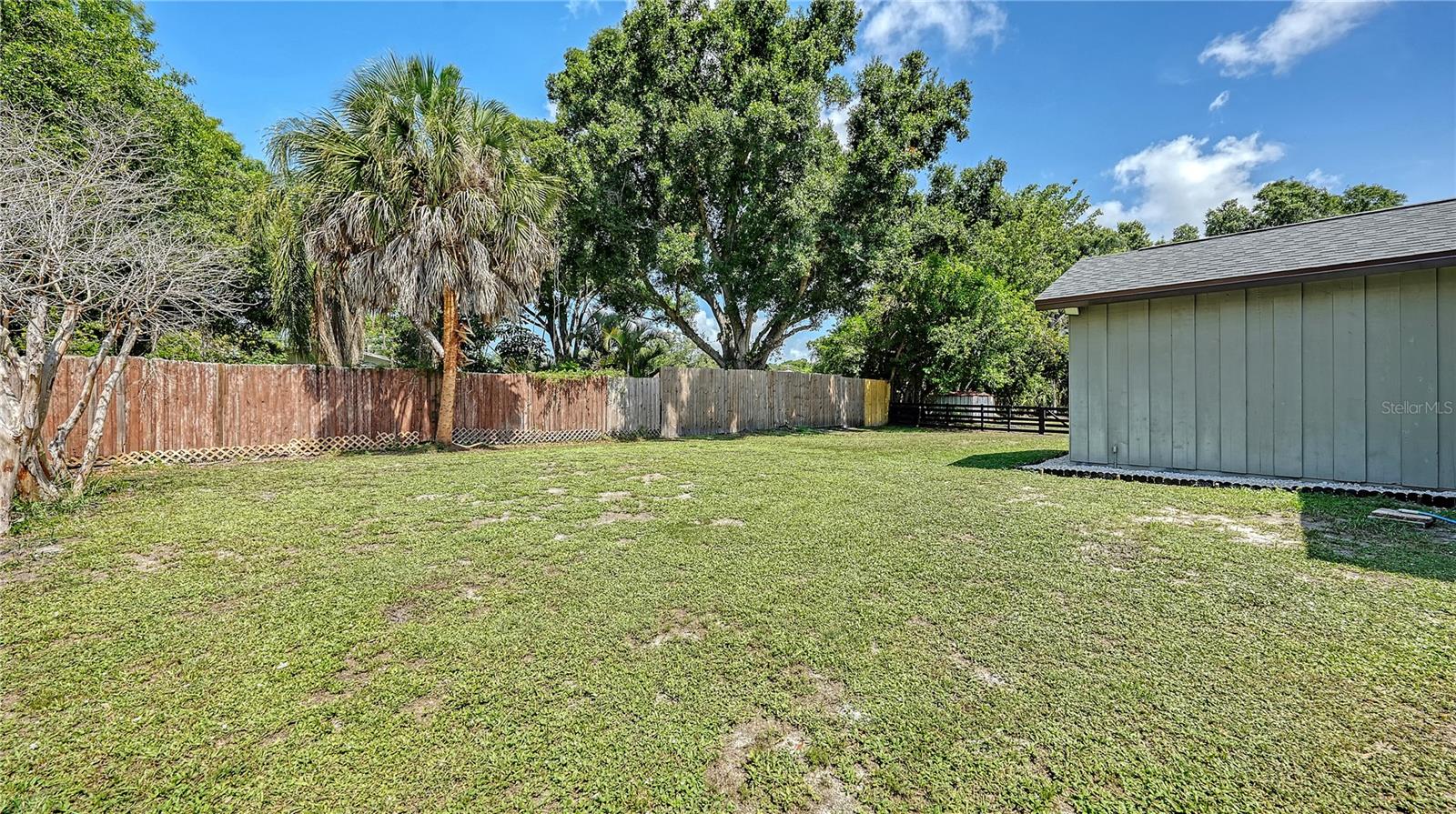 Side Yard