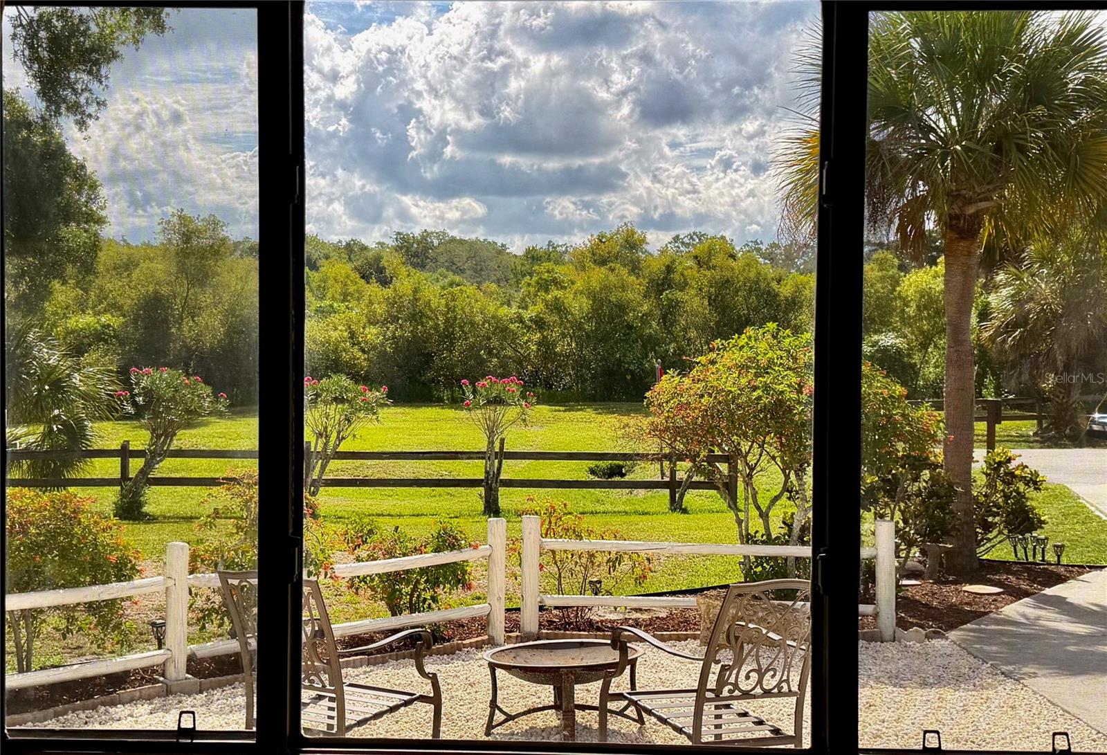 View from the Living Room