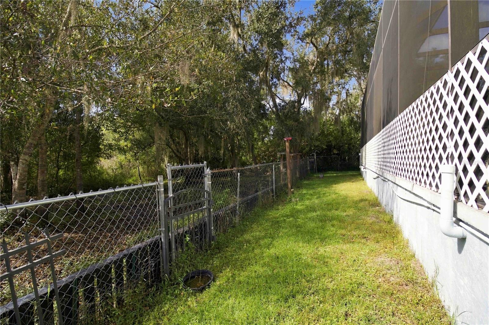 Back Yard