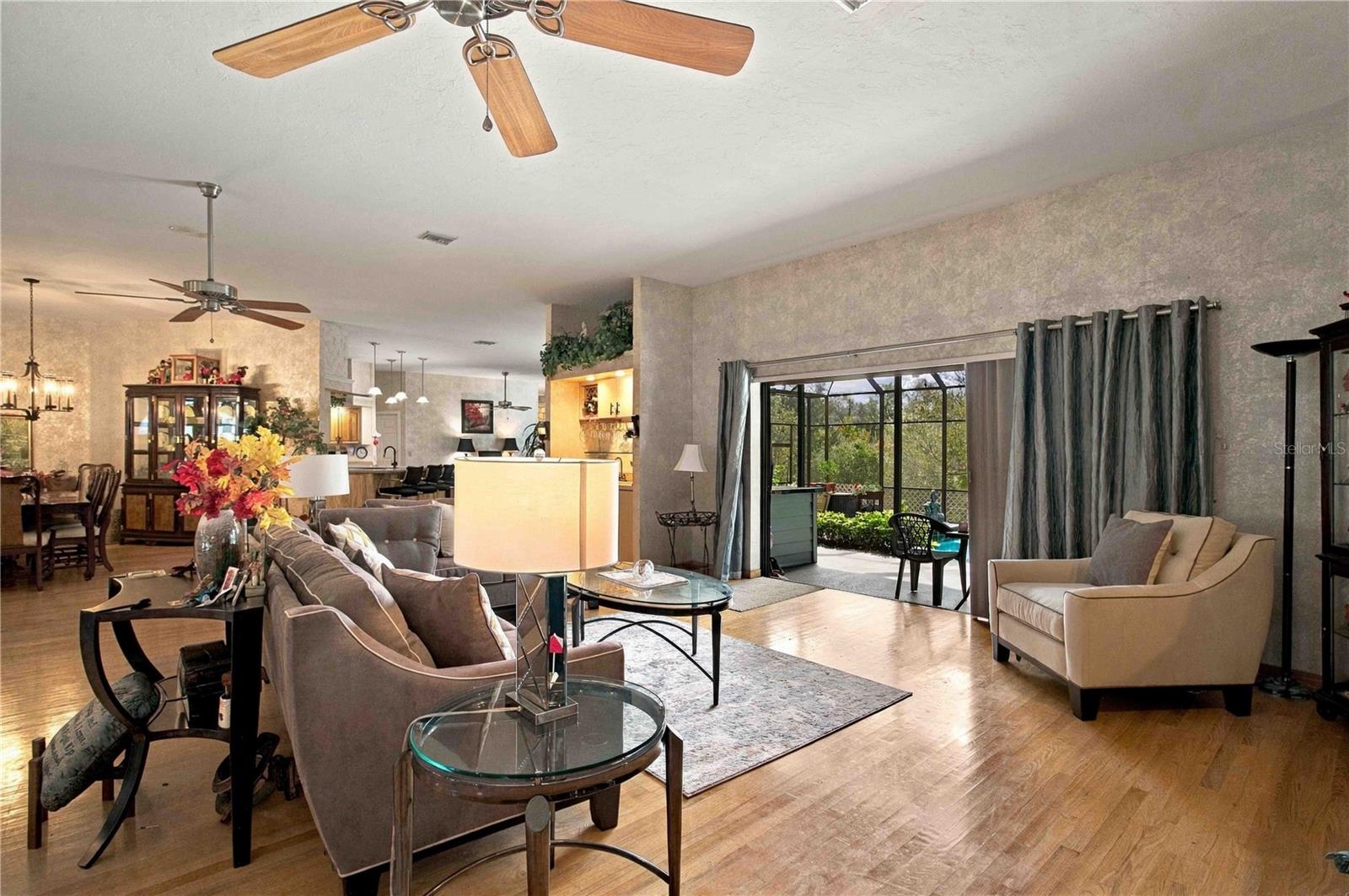 Open Floor Living room/ Dining room Combo
