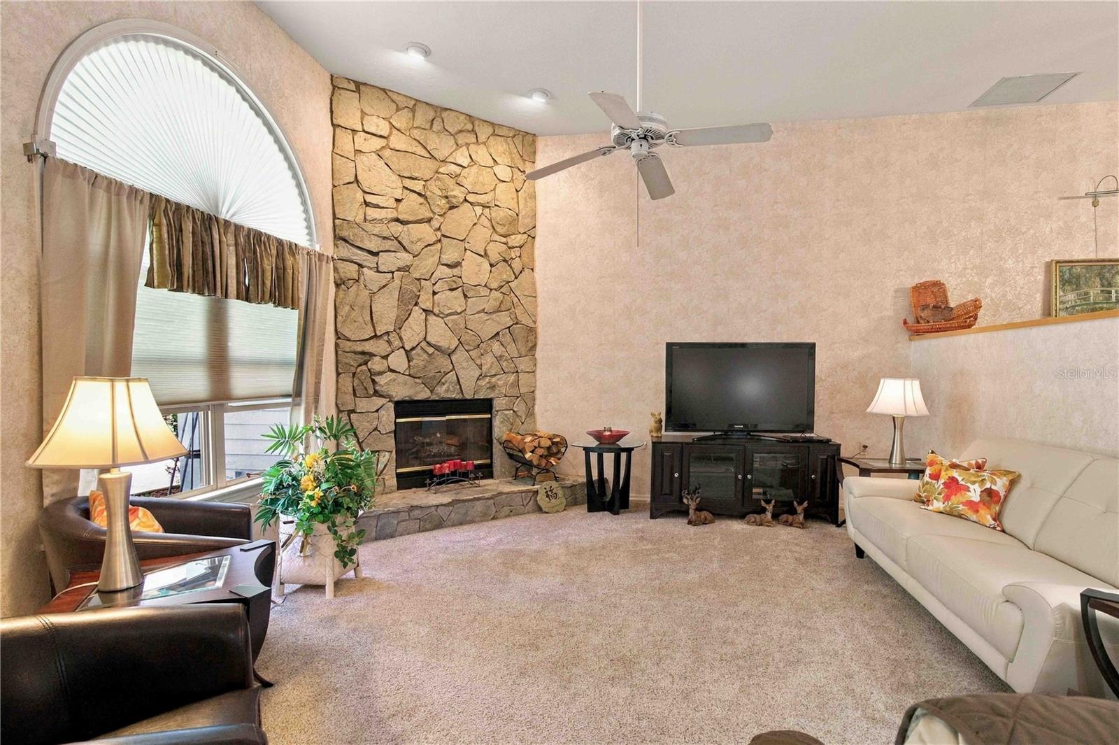 Downstairs Family Room