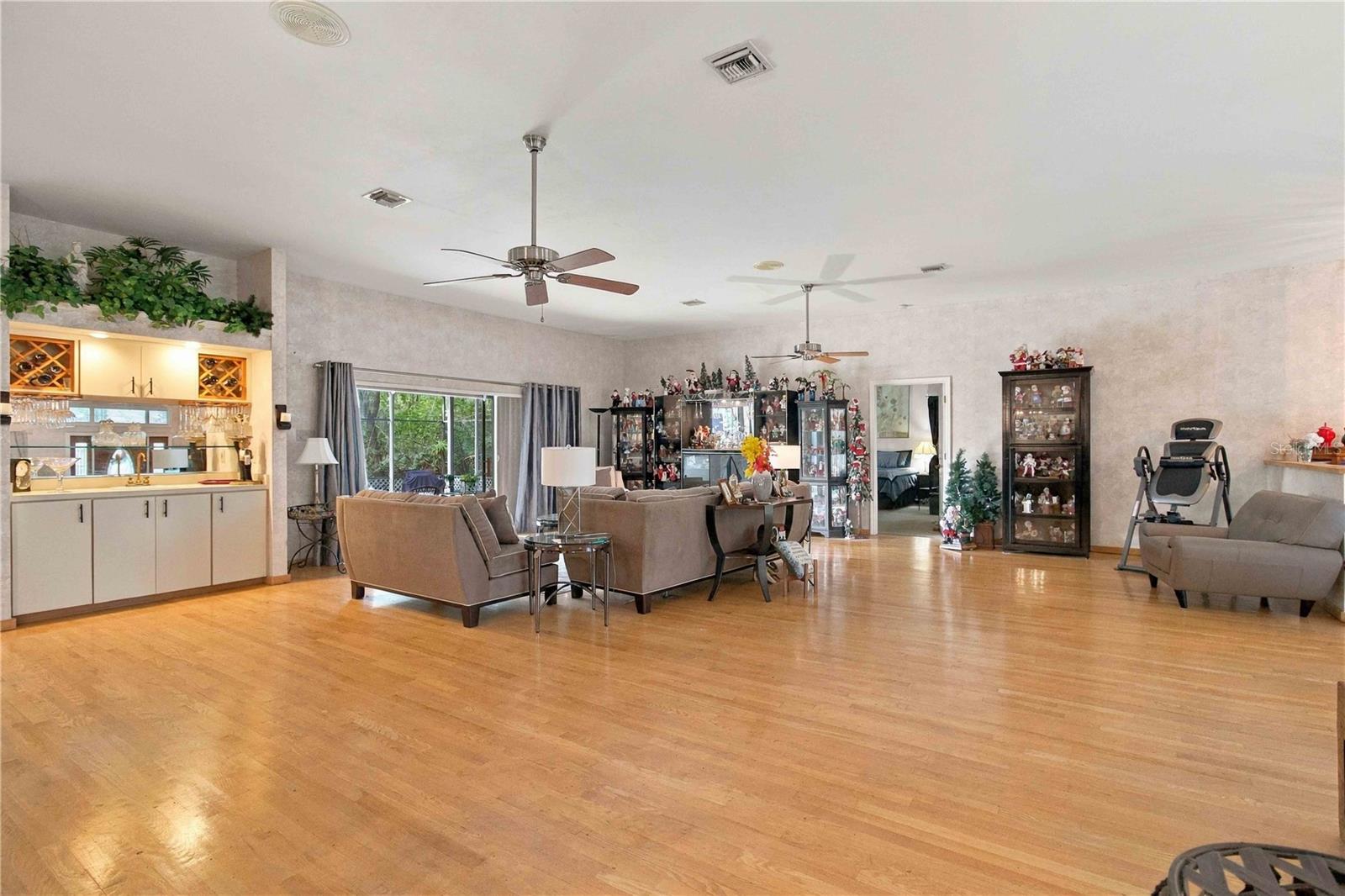 Open Floor Living room/ Dining room Combo