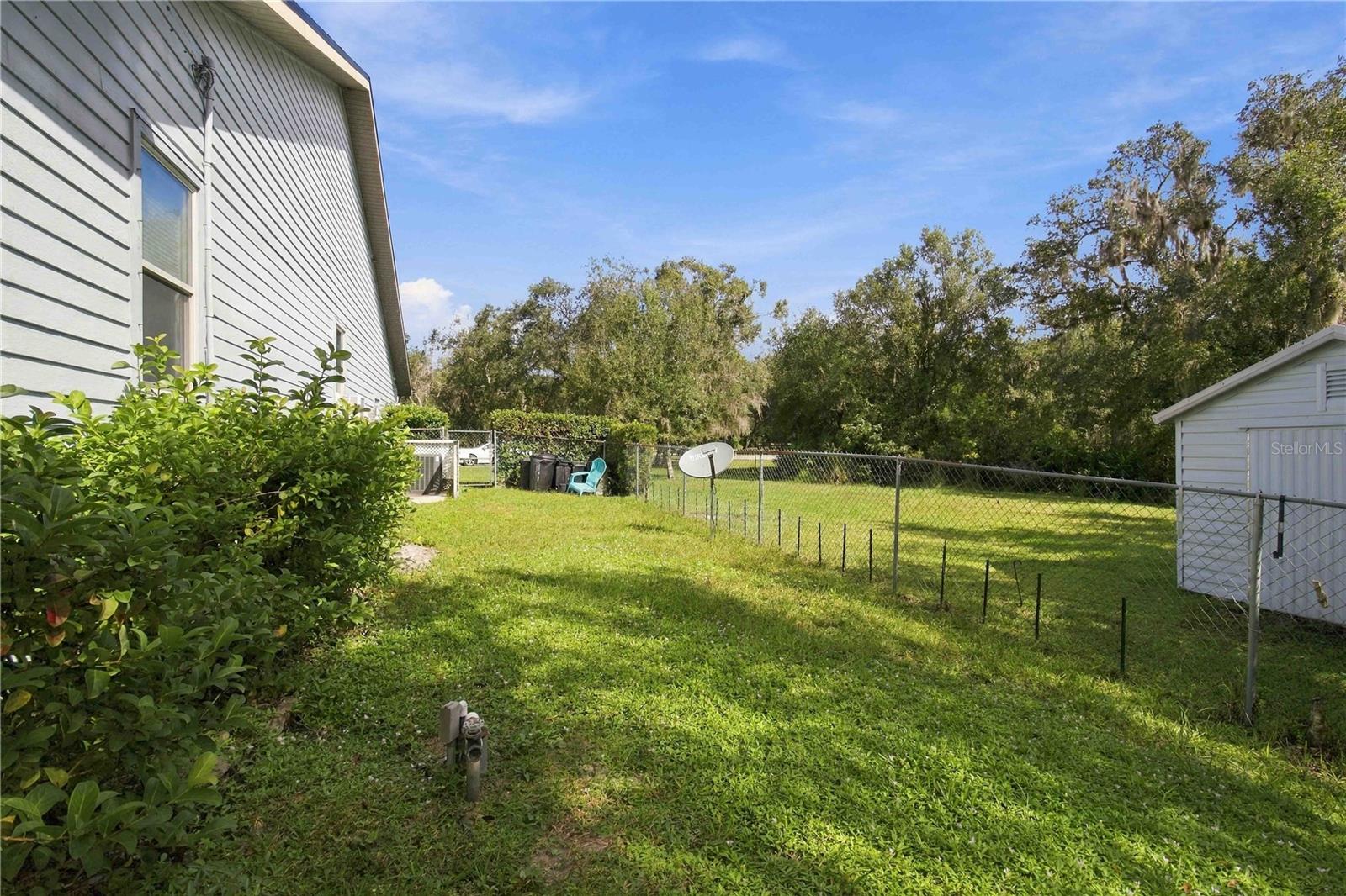 Side Yard