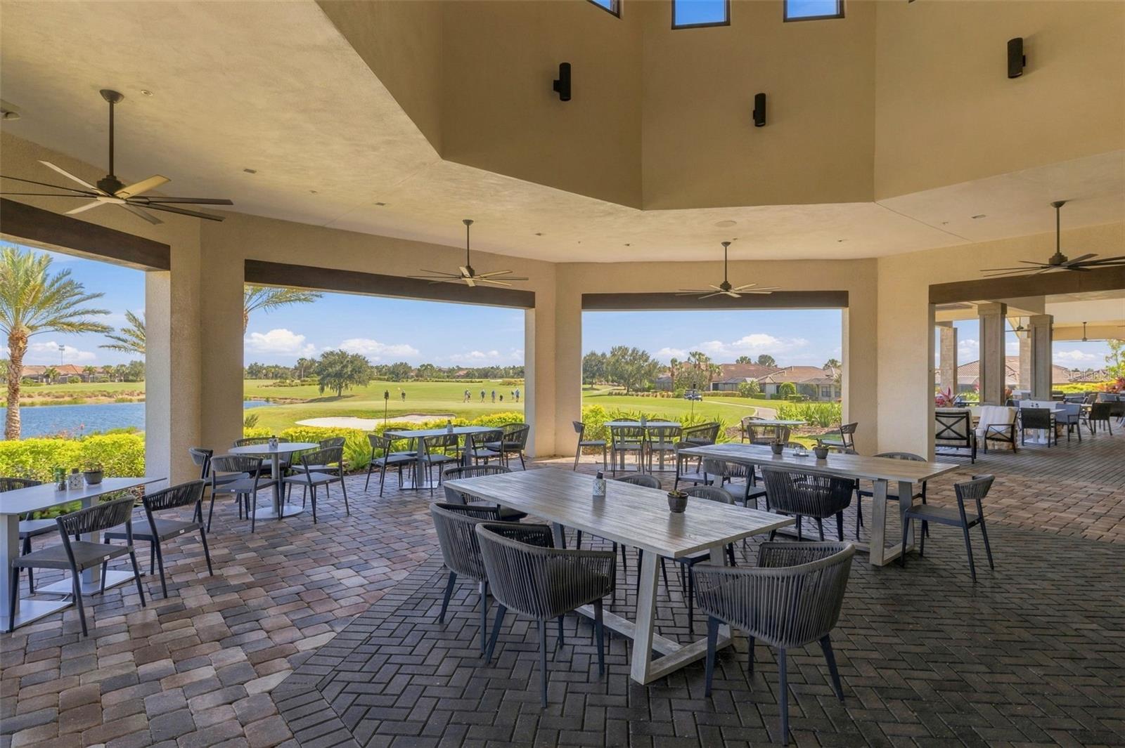 View from the patio