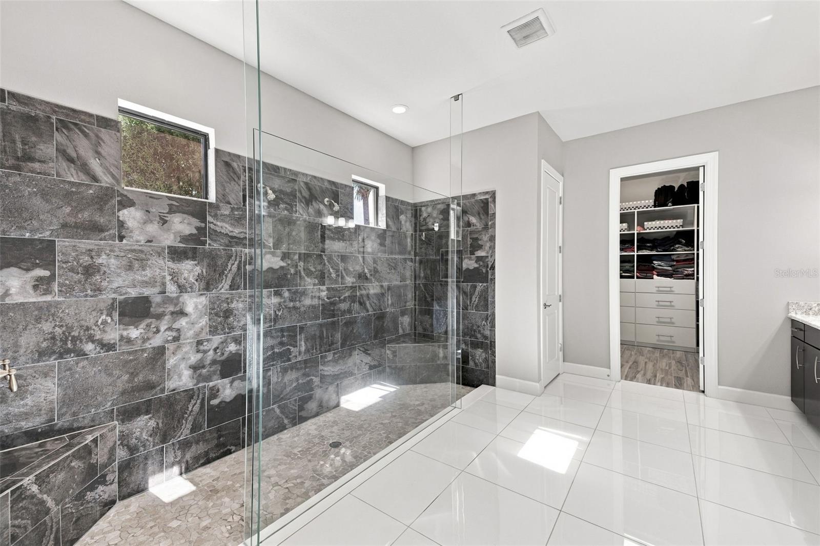 Primary Bathroom shower with dual showerheads